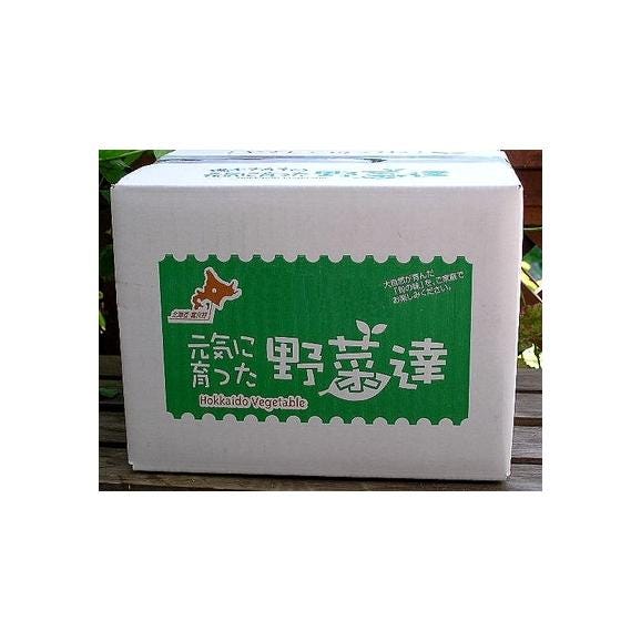 北海道富良野産 じゃがいも・玉ねぎ　10kgセット05
