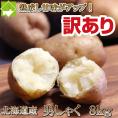 北海道富良野産　訳あり　 男爵　８ｋｇ 【送料無料】