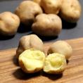 北海道富良野産　じゃが芋　訳あり　北あかり　10ｋｇ　【送料無料】