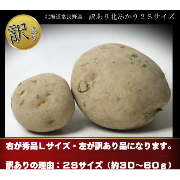 エシャロットShallot、タイのワケギ苗小さめ30個 （エシャロット