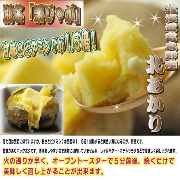 北海道富良野産　じゃが芋　訳あり　北あかり　10ｋｇ　【送料無料】05