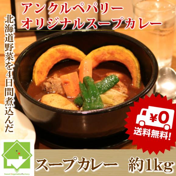 【選べる辛さ】北海道野菜を煮込んだスープカレー 　1kg　　（2パック約５００ｇ×２）　送料無料01