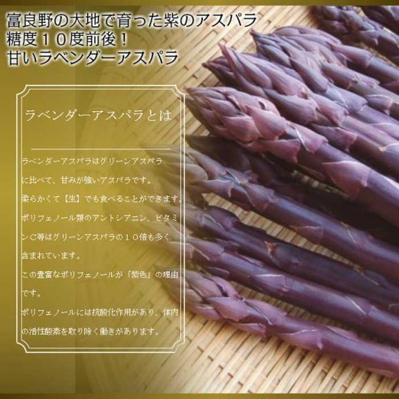 アスパラガス 北海道富良野産　希少な紫のラベンダーアスパラ　１ｋｇ　(S～Lサイズ込）　送料無料　日時指定不可05