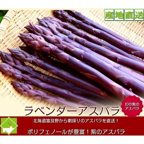 アスパラガス 北海道富良野産　希少な紫のラベンダーアスパラ　１ｋｇ　(S～Lサイズ込）　送料無料　日時指定不可06