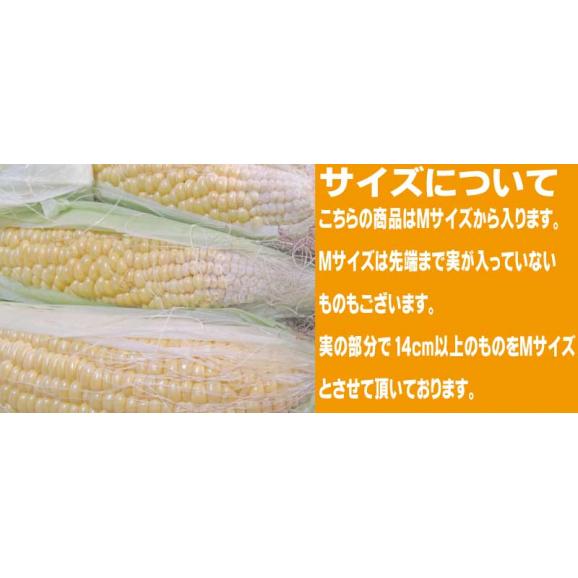 生で食べられるトウモロコシ　北海道富良野産　恵味（めぐみ）　訳あり　１０本　送料無料　日時指定不可02