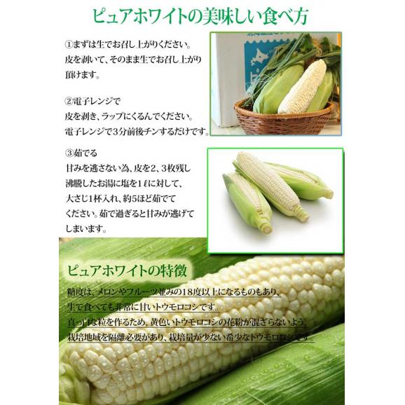 生で食べられるトウモロコシ　北海道富良野産　ピュアホワイト　5本入り　送料無料　ハウス栽培　7月発送06
