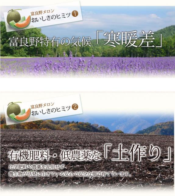 ふらのメロン 北海道富良野産 訳あり 赤肉 8kg（4玉から8玉入り