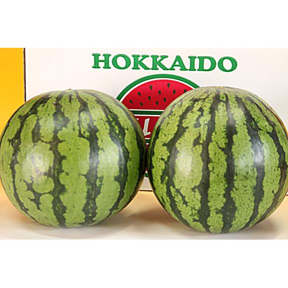 スイカ 北海道富良野産 クリームスイカ 4~5kg 2玉 送料無料02