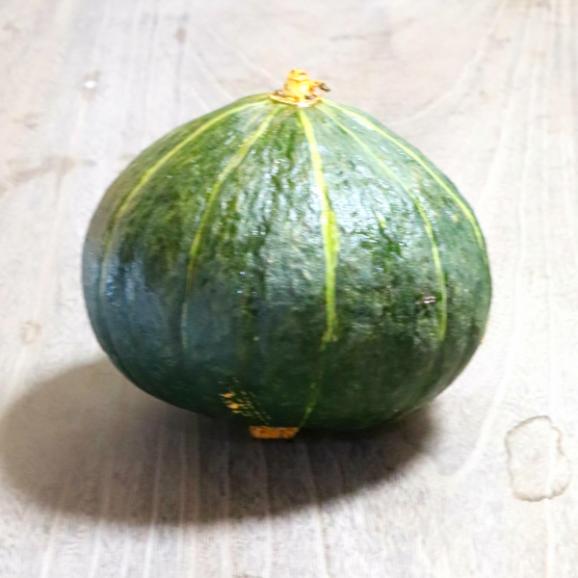 低農薬栽培　北海道産　かぼちゃ　ダークホース　１０ｋｇ（４～８玉）03