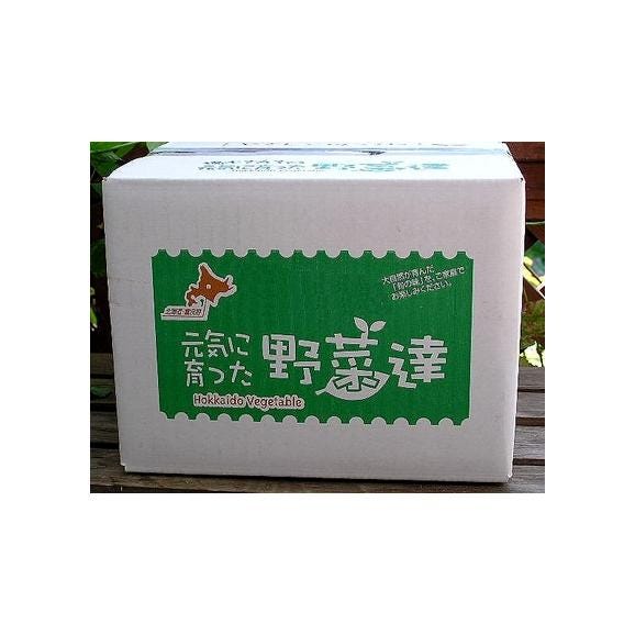 低農薬栽培　北海道産　かぼちゃ　ダークホース 5kg（２～４玉）05