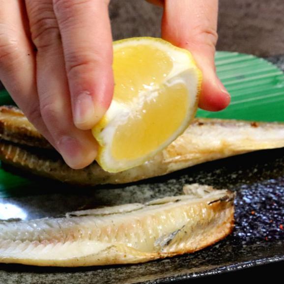 こまい 一夜干し 生干し 北海道産 500g 送料無料 氷下魚（こまい）04