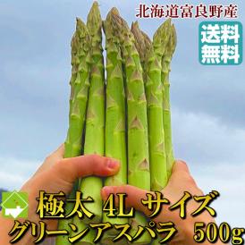 アスパラガス 北海道富良野産　グリーンアスパラ　超極太　4Lサイズ　５００ｇ　【送料無料】