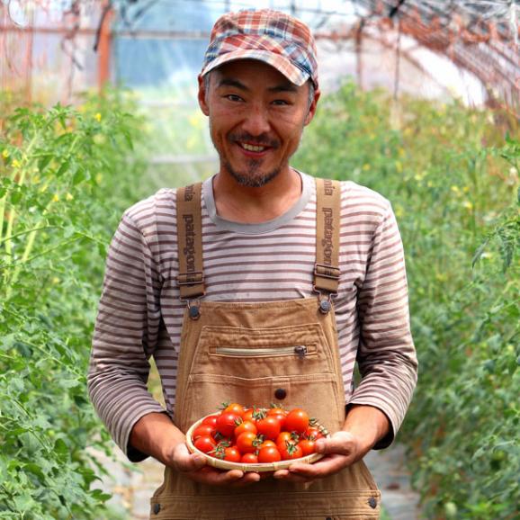 トマト 北海道 当麻産 川端さんの ミディトマト 1kg01