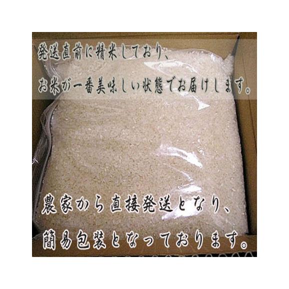 白米 10kg 送料無料 北海道産　冷めても美味しいお米 ふっくりんこ 10kg02