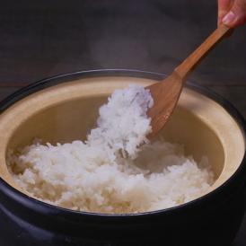 白米 10kg 送料無料 北海道産　冷めても美味しいお米 ふっくりんこ 20kg