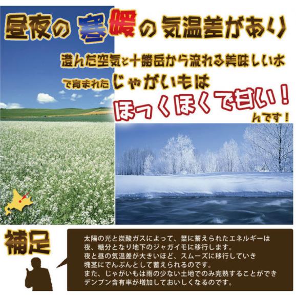 北海道 富良野産　じゃがいも　 メークイン 10kg 送料無料 お歳暮 ギフト対応可04