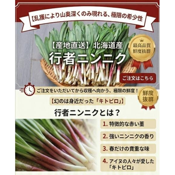 北海道産　希少な山菜 行者にんにく　300g 日時指定不可03