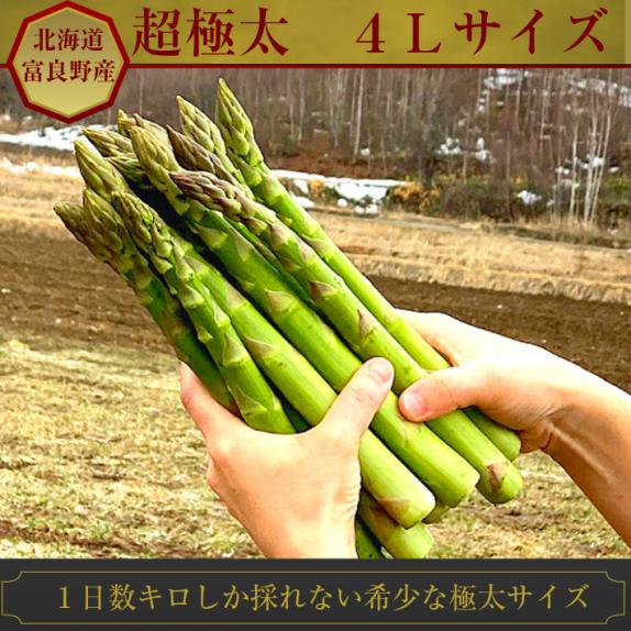 アスパラガス 北海道富良野産 グリーンアスパラ 超極太 4Lサイズ 2kg