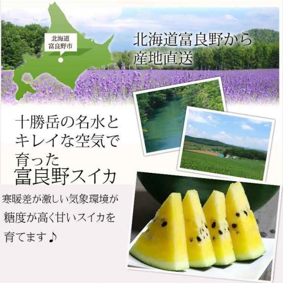 すいか 北海道富良野産 クリームスイカ Ｌサイズ 5ｋｇ以上 １玉入り05