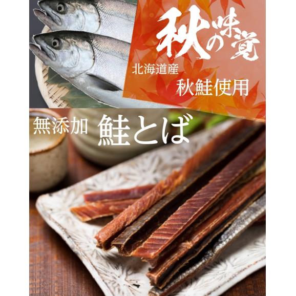 鮭とば 100g 北海道産 鮭とば 完全無添加 鮭トバ さけとば おつまみ メール便発送 送料無料02
