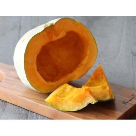 白い かぼちゃ 北海道 富良野産　南瓜 雪化粧 5kg （２から４玉入り）