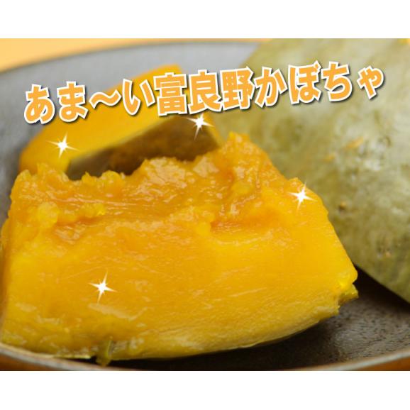 白い かぼちゃ 北海道 富良野産　南瓜 雪化粧 5kg （２から４玉入り）03