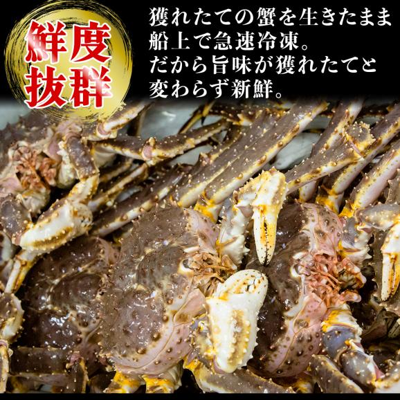 超極太 本たらば 蟹 脚 3kg 前後 急速冷凍　タラバガニ03