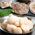 ほたて 貝柱 500g 訳あり ホタテ 北海道産　お刺身ＯＫ【冷凍】送料無料　別途送料が発生する地域あり