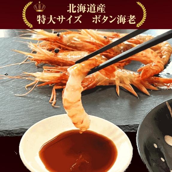 お刺身用 北海道産 特大 ボタンエビ 500g ぼたんえび 牡丹海老 お刺身用 北海道産 特大 ボタンエビ 500g ぼたんえび 牡丹海老