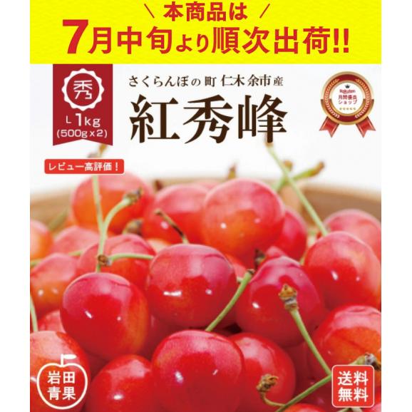北海道 余市産　さくらんぼ 紅秀峰　Lサイズ 1kg 500g×2パック 7月中旬発送 日時指定不可02
