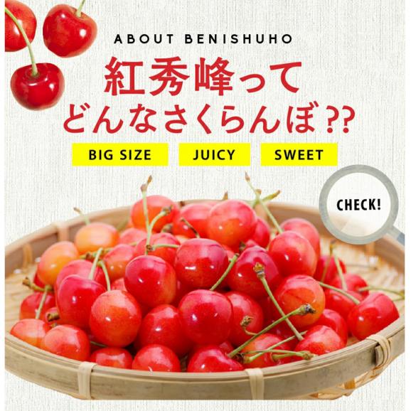 北海道 余市産　さくらんぼ 紅秀峰　Lサイズ 1kg 500g×2パック 7月中旬発送 日時指定不可03