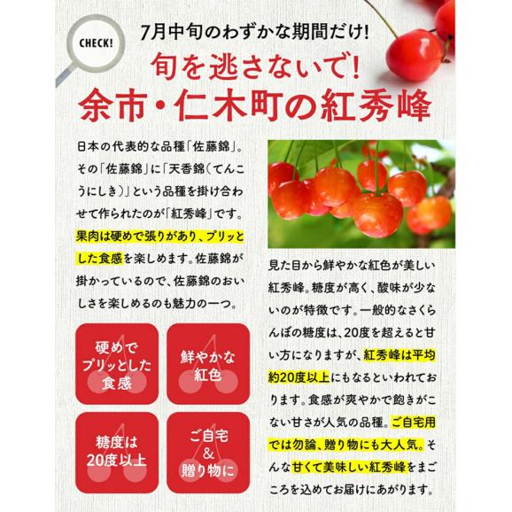 北海道 余市産　さくらんぼ 紅秀峰　Lサイズ 1kg 500g×2パック 7月中旬発送 日時指定不可05