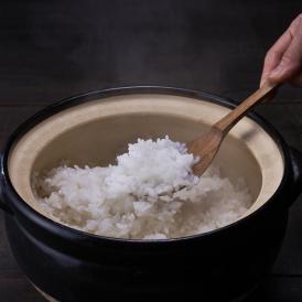 無洗米　北海道産　ゆめぴりか　１０ｋｇ　送料無料