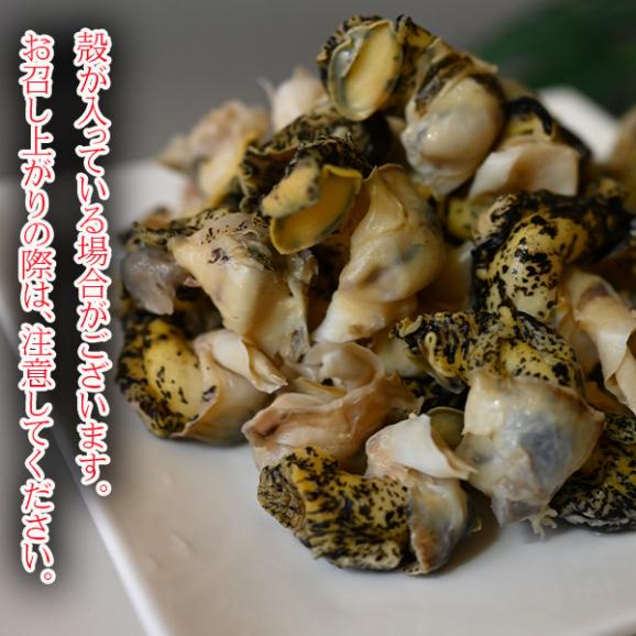 海鮮 北海道産 つぶ貝 1k ツブ貝 灯台つぶ 国産 ボイル アヒージョ 無添加 貝 刺身 海鮮食品 魚介類 魚介02