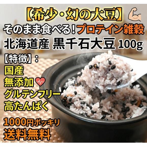 1000円ポッキリ 国産 黒千石大豆 100g プロテイン 雑穀米 無添加 そのまま食べれる 高タンパク 雑穀 グルテンフリー 大豆プロテイン ダイエット 腹持ち 小分け おにぎり 偏食 100% 北02