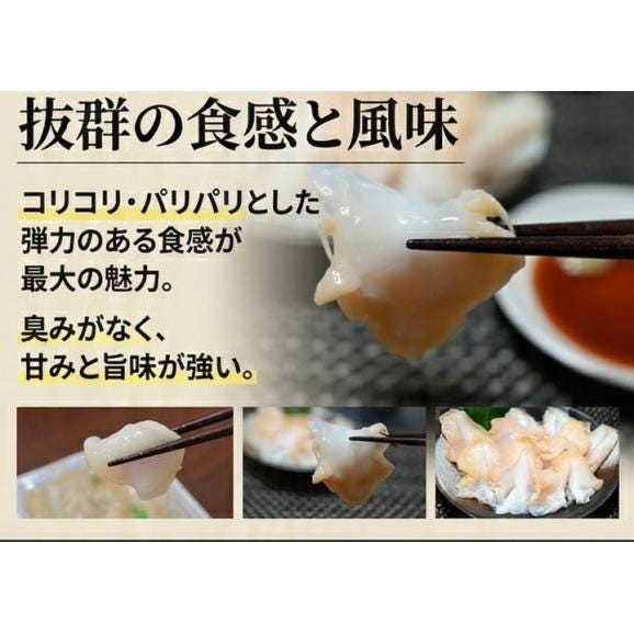 海鮮 北海道産　お刺身 つぶ 1パック 300ｇ つぶ貝 開き 北海道産 ツブ貝 国産 ボイル アヒージョ 無添加 貝 刺身 海鮮食品 魚介類 魚介 人気05