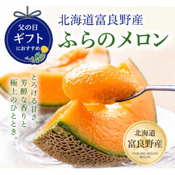 父の日ギフト　ふらのメロン　北海道富良野産　赤肉　２Lサイズ（１玉１４００ｇ前後）　１玉入り02