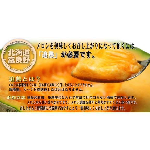 父の日ギフト　ふらのメロン　北海道富良野産　赤肉　２Lサイズ（１玉１４００ｇ前後）　１玉入り06