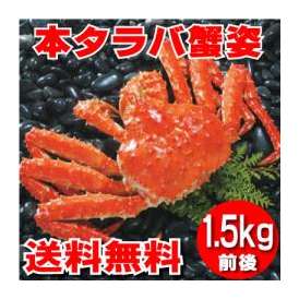 極上　本たらば蟹　１．５kg前後×1尾　【送料無料】