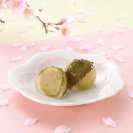 【春季限定】桜 栗苞 -さくら くりづつみ-　6個入り