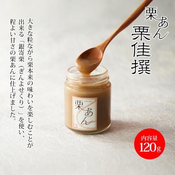 栗あん 栗佳撰(りっかせん)02