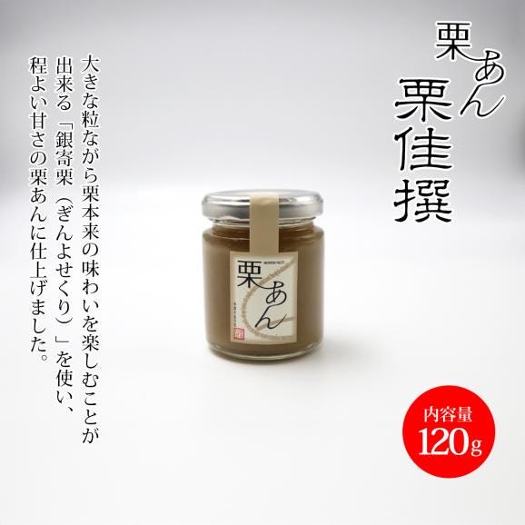 栗あん 栗佳撰(りっかせん)03