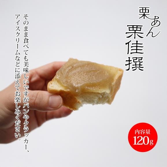 栗あん 栗佳撰(りっかせん)04