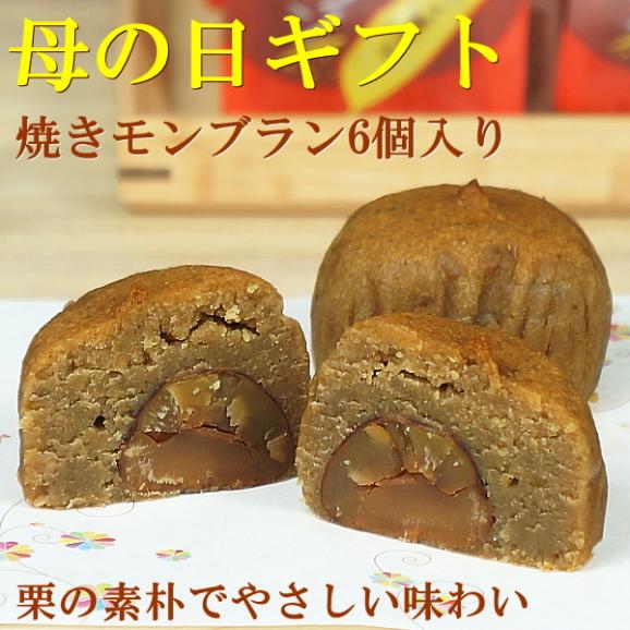 母の日 ギフト スイーツ 食べ物 お菓子 プレゼント 送料無料 焼きモンブラン 6個入り 早割 早期割引 母の日カード付き02
