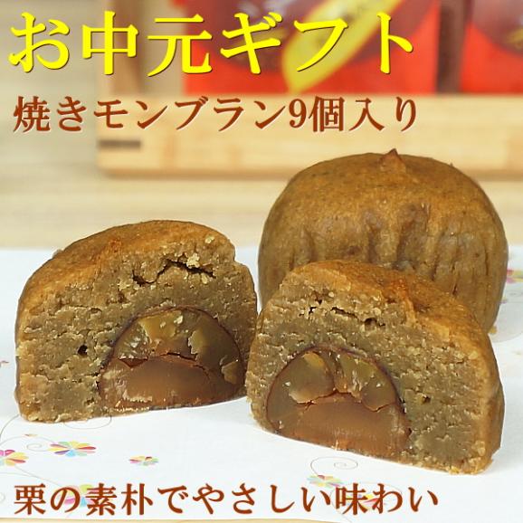 お中元 2026 ギフト スイーツ 食べ物 お菓子 送料無料 焼きモンブラン 9個入り 夏ギフト掛け紙付き02