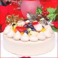 クリスマスケーキ 2025 予約 ギフト スイーツ 送料無料 フルーツチョコ生デコレーションケーキ 5号 早割 早期割引