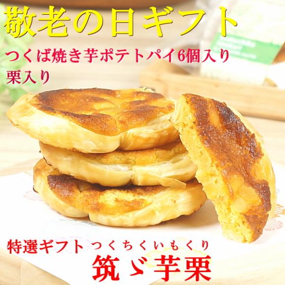 敬老の日 プレゼント ギフト スイーツ 食べ物 お菓子 焼き菓子 送料無料 つくば 焼き芋 ポテトパイ 6個入り 早割 早期割引 敬老掛け紙付き02