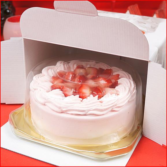 クリスマスケーキ 2026 予約 プレゼント ギフト スイーツ お菓子 送料無料 いちごづくし ピンクの生デコレーションケーキ 5号 早割 早期割引05