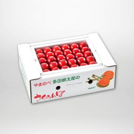 紅秀峰の本詰L～2Lサイズ約500g×1パックセットです。