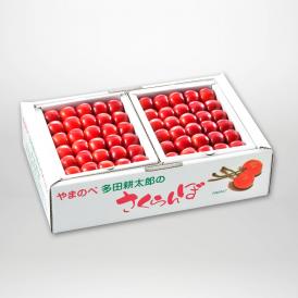 紅秀峰の本詰L～2Lサイズ約500g×2パックセットです。